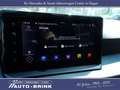 SEAT Arona Xperience mit Navi/PTS/LED/FullLink Rouge - thumbnail 16