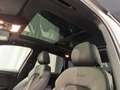 Audi Q5 Q5 2.0 TDI quattro S tronic Jaune - thumbnail 5