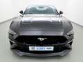 Ford Mustang 5.0 Aut. GT LED+Sitzklima+ACC+Dashcam Noir - thumbnail 6