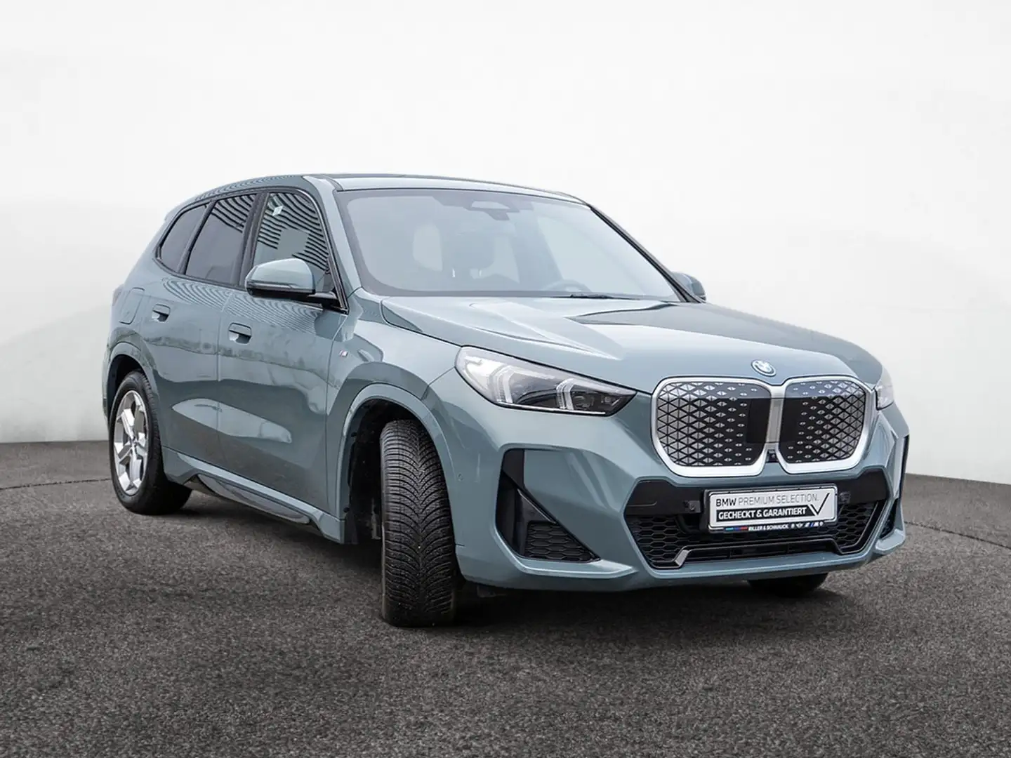 BMW iX1 xDrive 30 M-Sport AHK+HUD+360°KAM+ACC Grün - 2