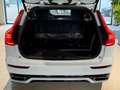 Volvo V60 R Design Plug-In Hybrid AWD AHK-Panorama-1.Besitz Weiß - thumbnail 5