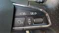 SEAT Leon 2.0 TDI 150cv St&Sp FR Gris - thumbnail 21