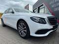 Mercedes-Benz E 220 E -Klasse T-Modell E 220 d 4Matic Burm AHK Weiß - thumbnail 26