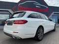 Mercedes-Benz E 220 E -Klasse T-Modell E 220 d 4Matic Burm AHK Weiß - thumbnail 22