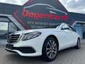Mercedes-Benz E 220 E -Klasse T-Modell E 220 d 4Matic Burm AHK Weiß - thumbnail 24