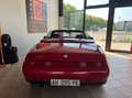 Alfa Romeo Spider 2.0 ts 16v Rojo - thumbnail 5