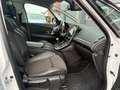 Renault Grand Scenic 1.2 TCe Bose Clima Camera Panodak Cruisecontrole Wit - thumbnail 12