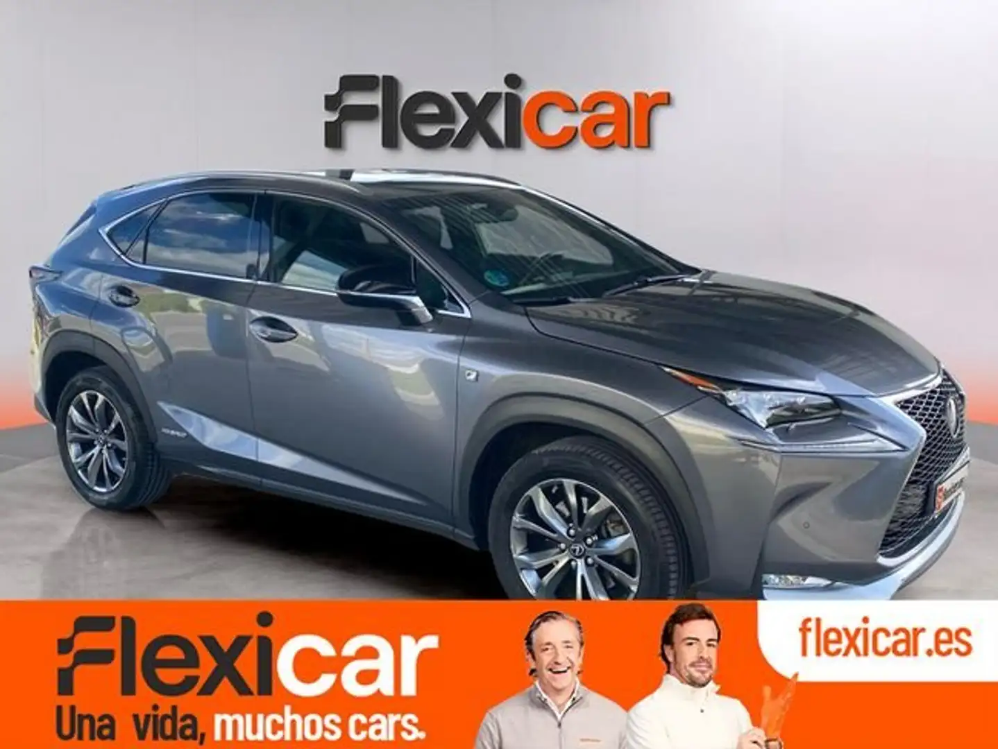 Lexus NX 300 300h F Sport 4WD Gris - 1