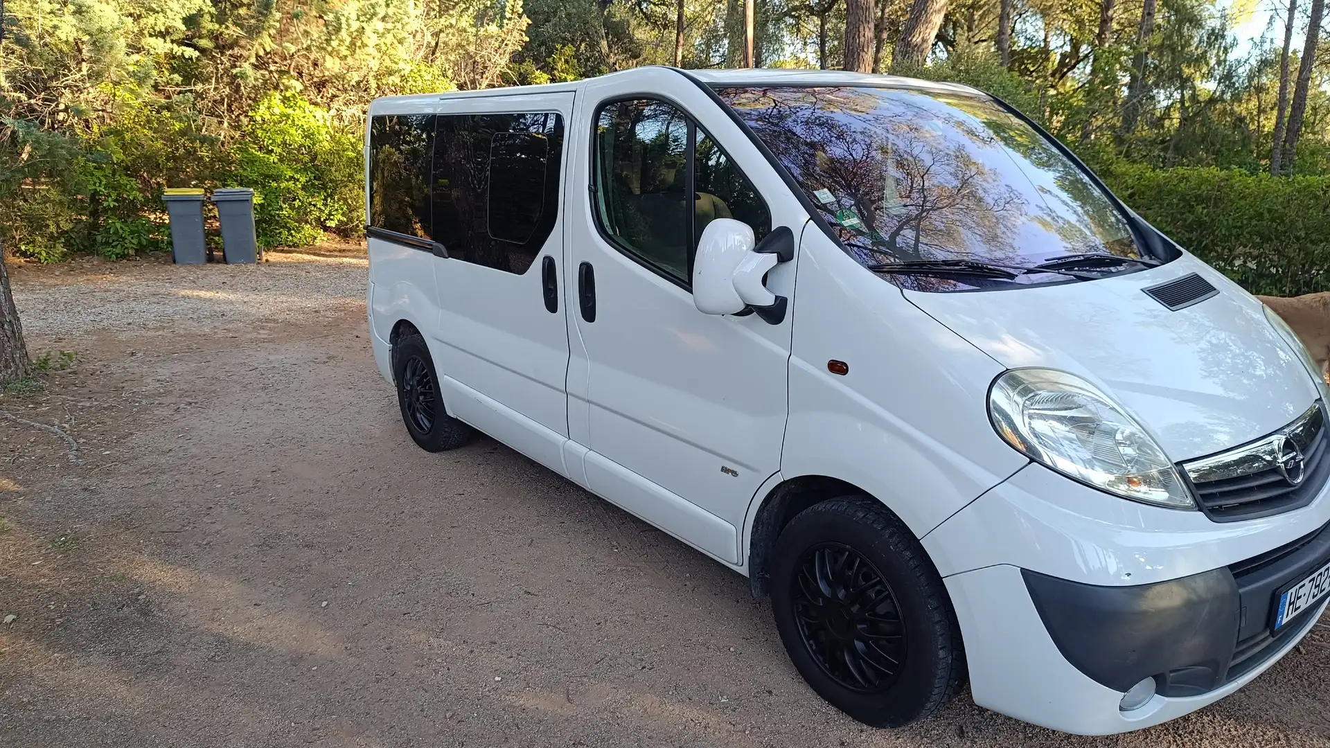 Opel Vivaro Vivaro Life 2.0 CDTI 115 ch Blanc - 2