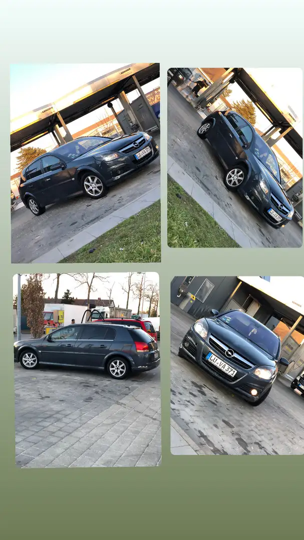 Opel Signum 1.9 CDTI - 1
