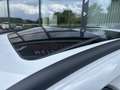Ford Mondeo Traveller ST-Line 2,0 Hybrid Aut. Weiß - thumbnail 6