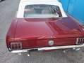 Ford Mustang Convertible Rojo - thumbnail 5