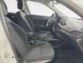 Fiat Tipo 1.4 Lounge Blanco - thumbnail 11