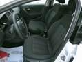 Volkswagen Polo Volkswagen Polo 1.4 Tdi confortline (75 cv) diesel Bianco - thumbnail 10