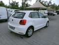 Volkswagen Polo Volkswagen Polo 1.4 Tdi confortline (75 cv) diesel Bianco - thumbnail 7