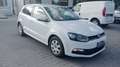 Volkswagen Polo Volkswagen Polo 1.4 Tdi confortline (75 cv) diesel Bianco - thumbnail 2