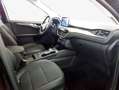 Ford Kuga 2.0 EcoBlue 4x4 Aut. TITANIUM X Black - thumbnail 10