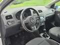 Volkswagen Polo Cross 12 Top* Kredit* Anhängerkupplung* Pickerl 03/26 Grau - thumbnail 12