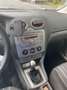 Ford Focus Wit - thumbnail 6