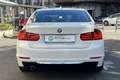 BMW 318 318d Luxury Bianco - thumbnail 6