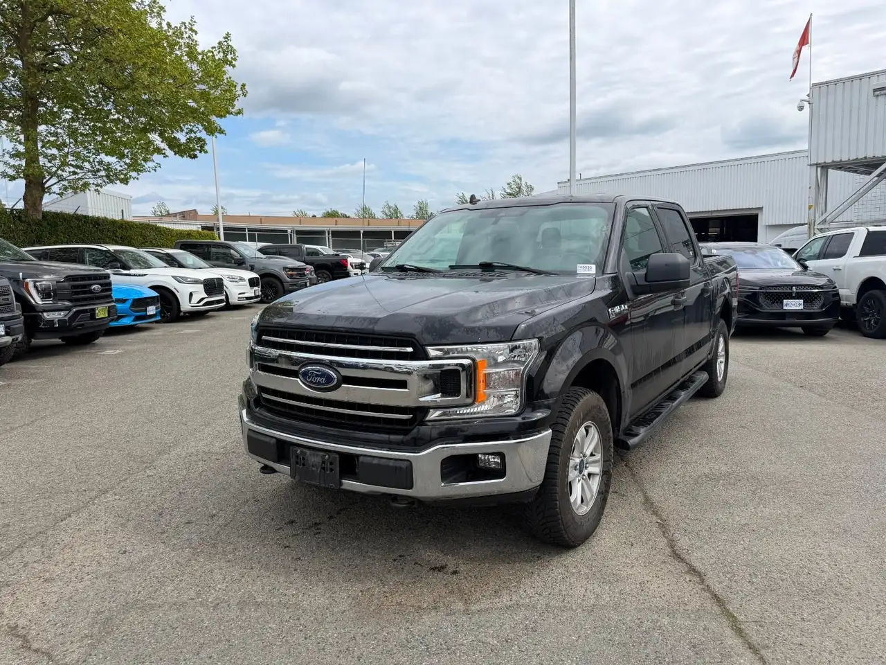 2019 Ford F 150
