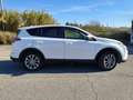 Toyota RAV 4 RAV-4 2.5 hybrid AWD Advance Advance Blanco - thumbnail 4