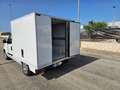 Fiat Doblo DOBLO' WORK-UP 1.6 MJT 105CV CASSA FRIGO FRCX-20 Weiß - thumbnail 13