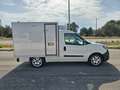 Fiat Doblo DOBLO' WORK-UP 1.6 MJT 105CV CASSA FRIGO FRCX-20 Weiß - thumbnail 5