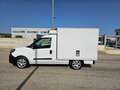 Fiat Doblo DOBLO' WORK-UP 1.6 MJT 105CV CASSA FRIGO FRCX-20 Weiß - thumbnail 15