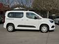 Opel Combo Life Combo Life 1.5D 100 CV S&S MT6 Edition Plus N1 Beige - thumbnail 4