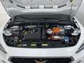 CUPRA Formentor 1.4 e-Hybrid 205 DSG Wit - thumbnail 13