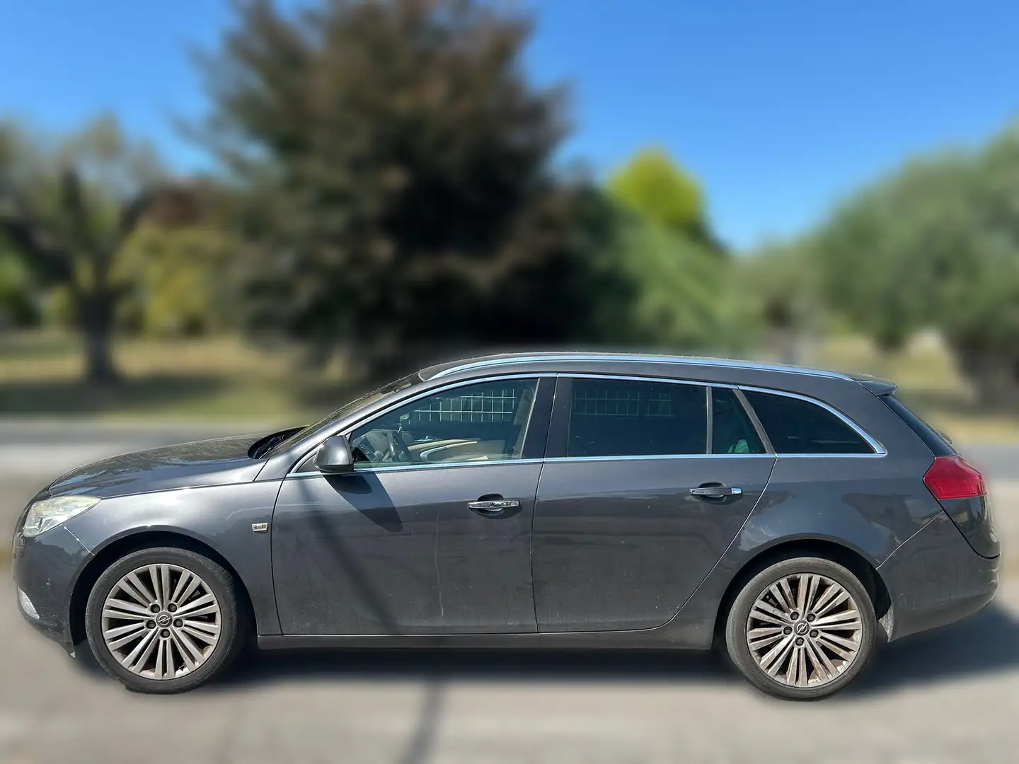 Opel Insignia Sports Tourer 2.0 cdti 160cv auto Grigio - 2