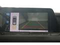 Volkswagen Golf VIII 1.5 TSI Style Navi*Pano*ACC*LED+ Style Grau - thumbnail 13