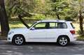 Mercedes-Benz GLK 220 cdi (be) Premium 4matic auto my12 Bianco - thumbnail 5