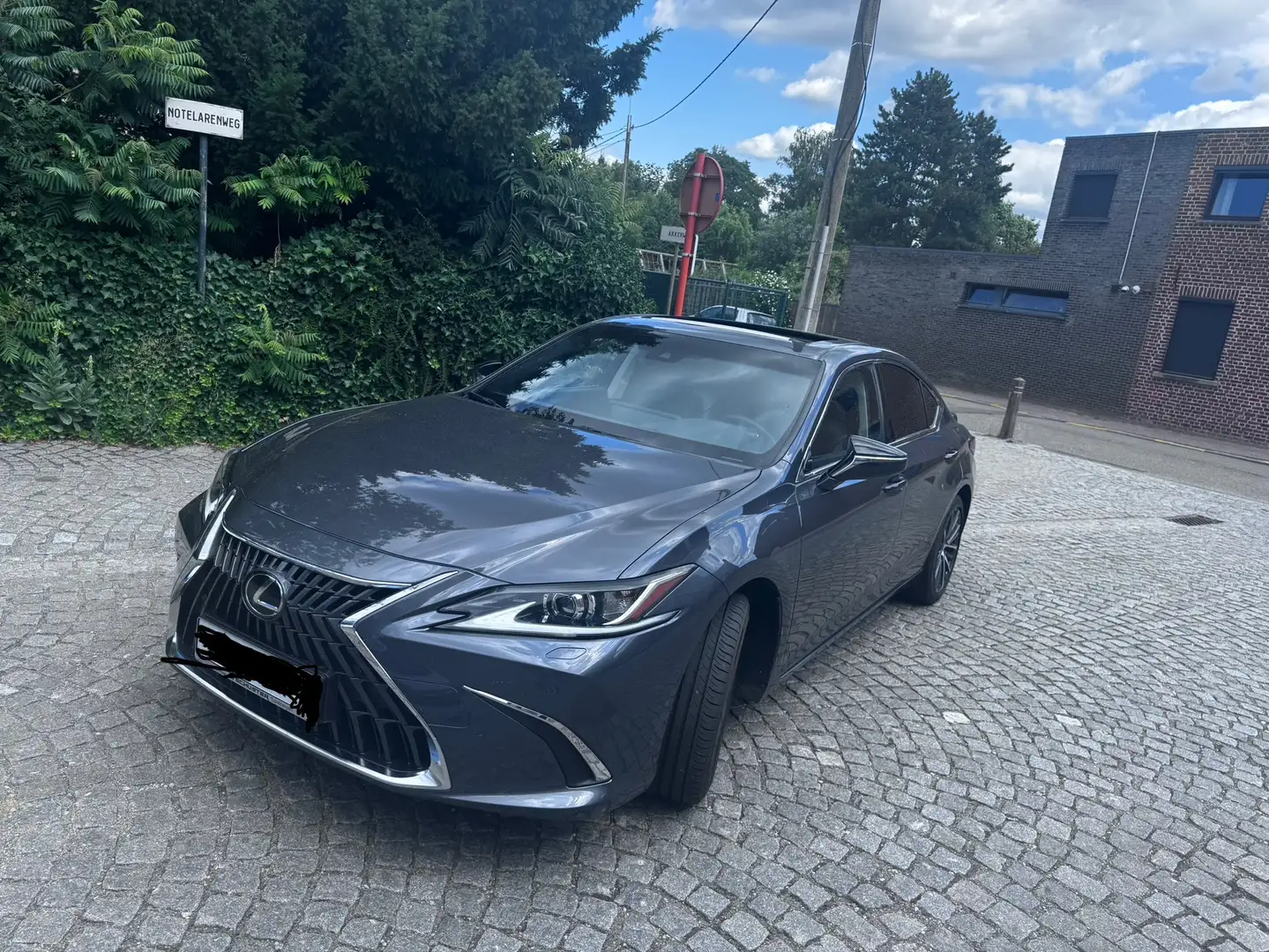 Lexus ES 300 300h Business Line - 2