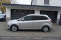 Ford Grand C-Max 1.0 EcoBoost Champions Edition KLIMA+ALU+AHK+TEMPO Silber - thumbnail 4