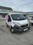 Fiat Ducato Business Van 33 L1H1 115 Wit - thumbnail 2