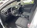 Kia Ceed / cee'd Ultimate Edition 1.5T 140 Style Paket Wit - thumbnail 5