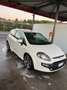 Fiat Punto Evo 3p 1.4 m-air turbo Sport s&s Bianco - thumbnail 9