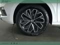 Skoda Kamiq 1.0 tsi black dots 115cv Blanc - thumbnail 5