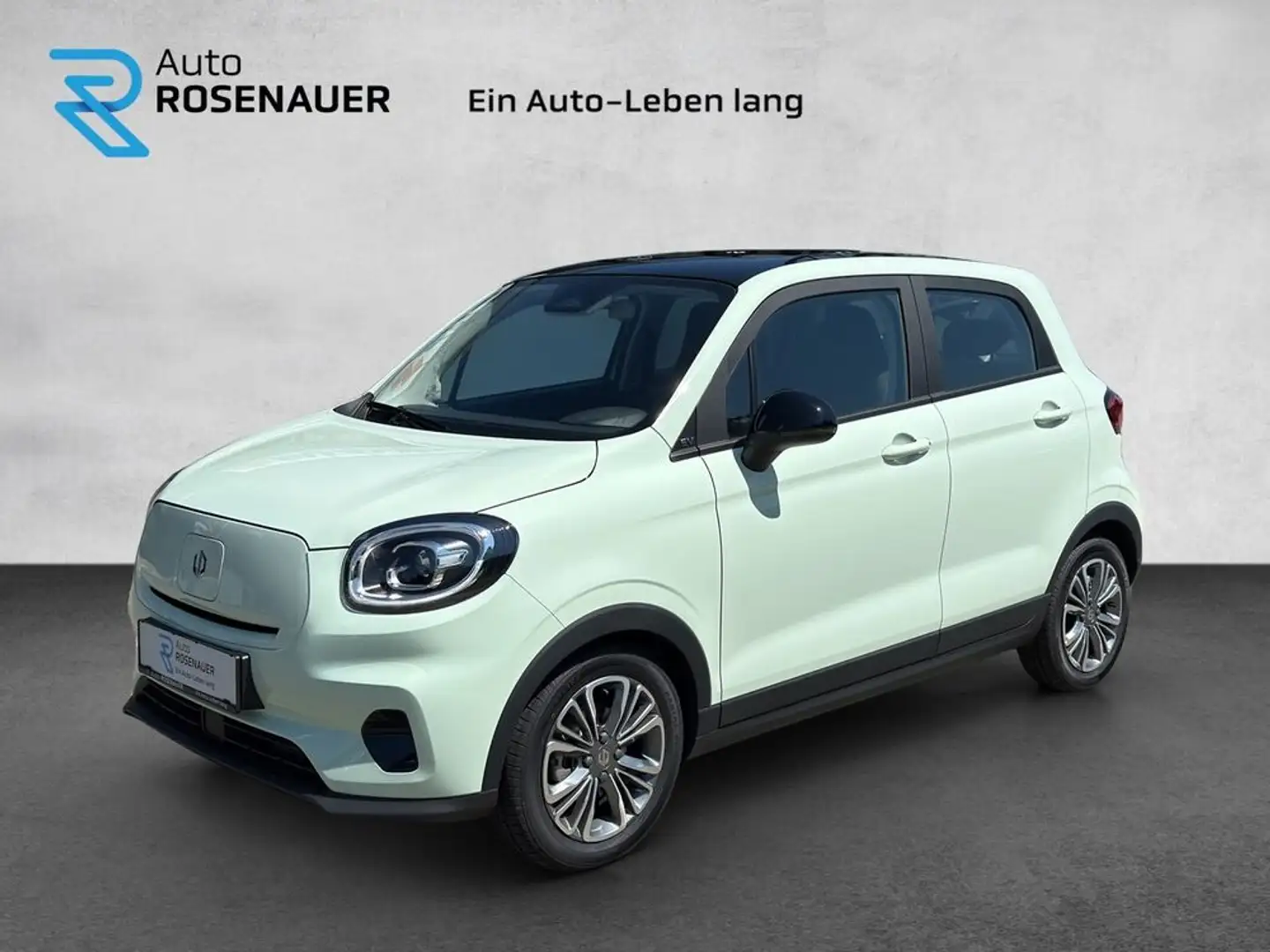Leapmotor T03 T03 Elektro ! Panoramadach, Rückfahrkamera, Aluf.! Grün - 1