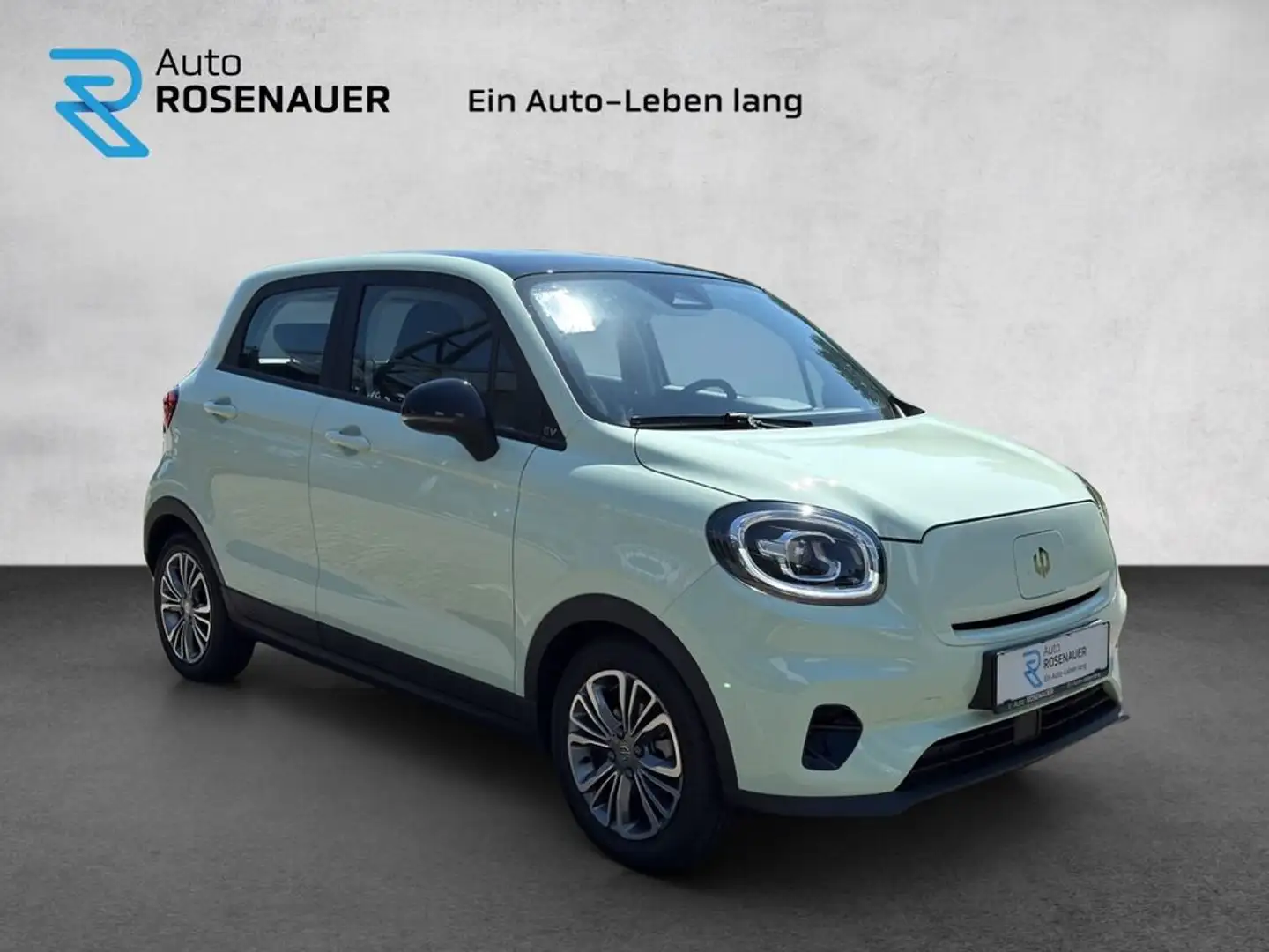 Leapmotor T03 T03 Elektro ! Panoramadach, Rückfahrkamera, Aluf.! Grün - 2