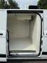 Ford Transit Custom 280 2.0 TDCi 130 L1 Furgone Titanium FRIGO Weiß - thumbnail 32