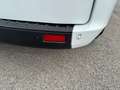 Ford Transit Custom 280 2.0 TDCi 130 L1 Furgone Titanium FRIGO Blanc - thumbnail 7