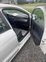 SEAT Ibiza ST Reference 1,0 Start-Stopp - thumbnail 11