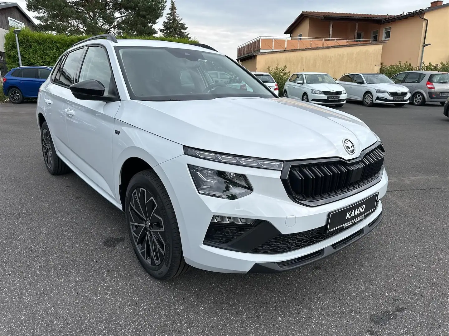 Skoda Kamiq Drive 1.5TSI+Matrix+Kamera Weiß - 1