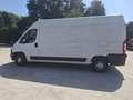 Fiat DUCATO  35 130 CV 2.3 MJT PLTM Bianco - thumbnail 6