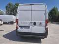 Fiat DUCATO  35 130 CV 2.3 MJT PLTM Bianco - thumbnail 4