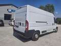 Fiat DUCATO  35 130 CV 2.3 MJT PLTM Bianco - thumbnail 3