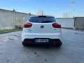 Kia Rio Rio III 2011 5p 1.4 crdi Cool Bianco - thumbnail 5